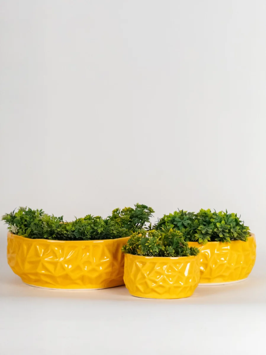 Classic Ceramic Planter Set of 2 (2" Dia) — Primary View