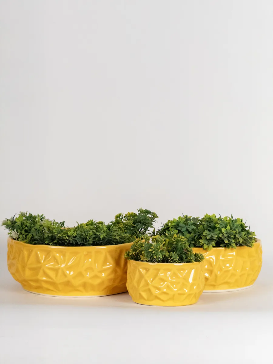 Classic Ceramic Planter Set of 3 (3" Dia) — Primary View