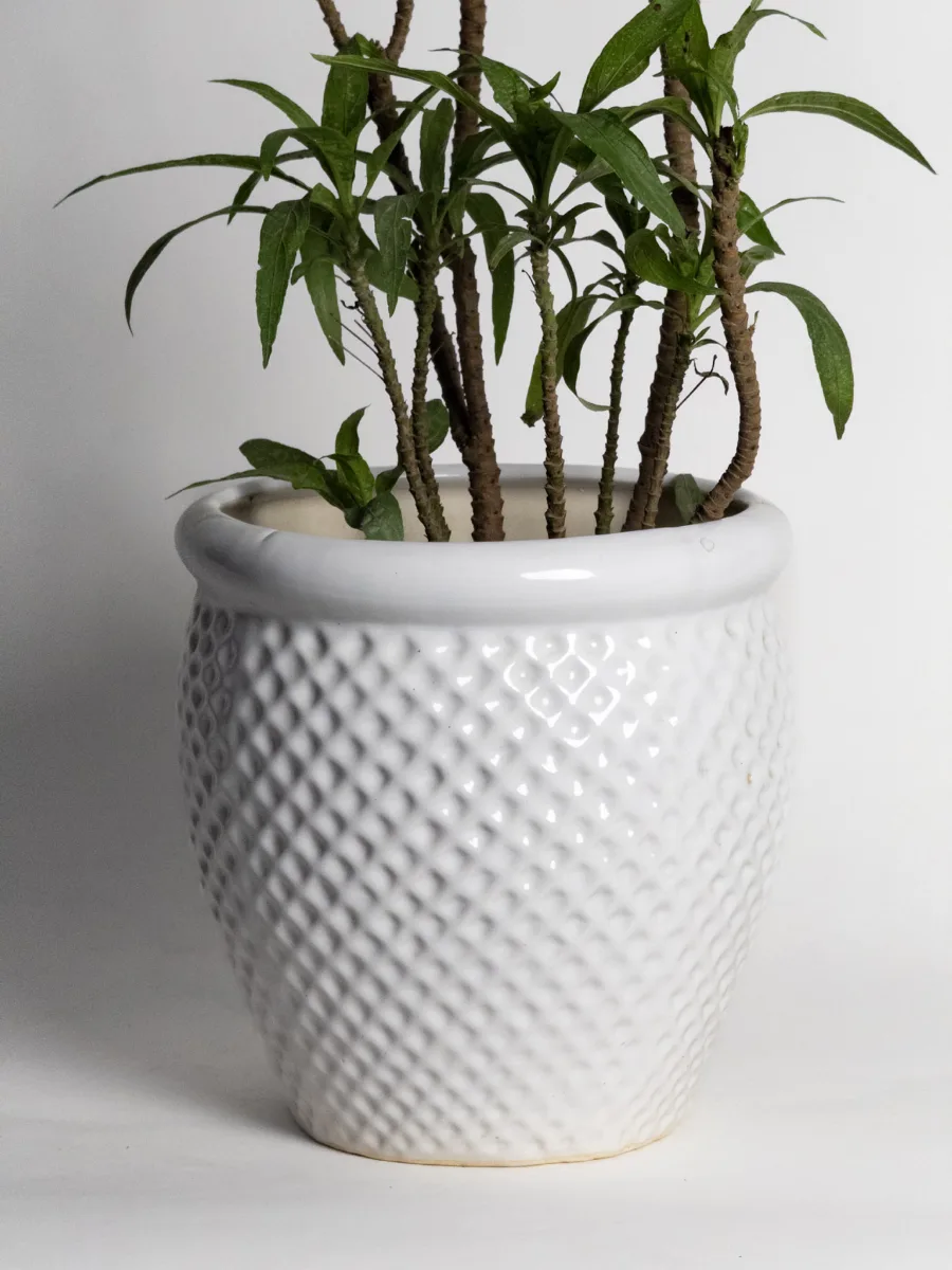 Classic Ceramic Planter Set of 3 (3" Dia) — Primary View