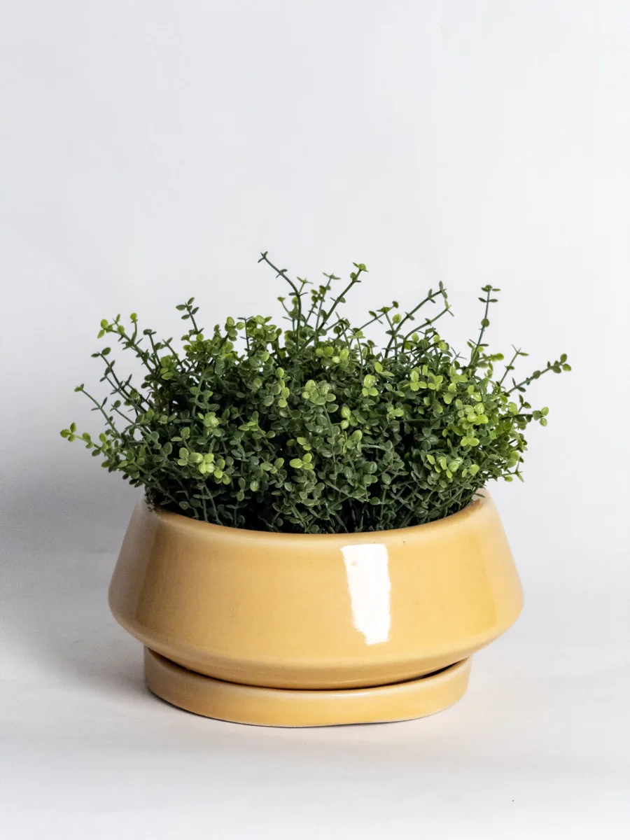 Classic Ceramic Planter Set of 3 (3" Dia) — Primary View