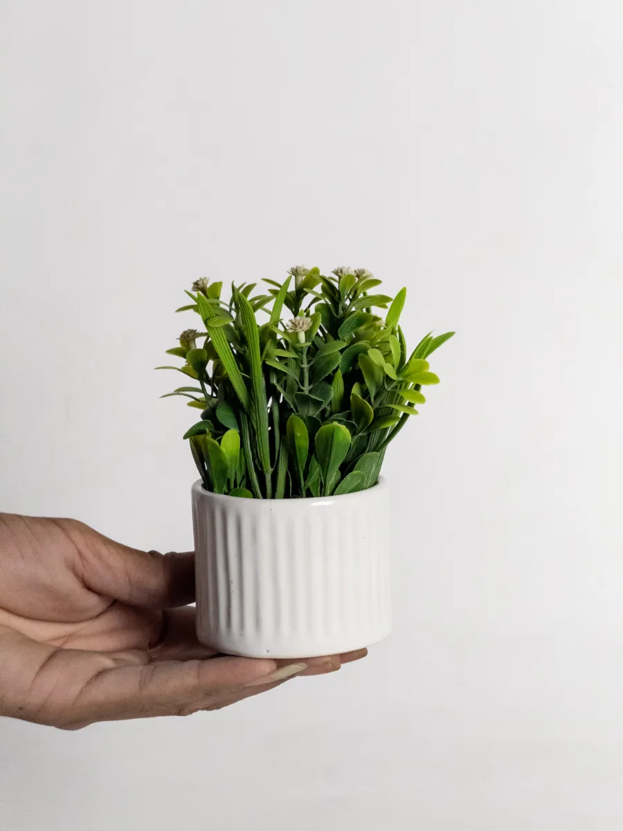 Classic Ceramic Planter Set of 3 (3" Dia) — Primary View