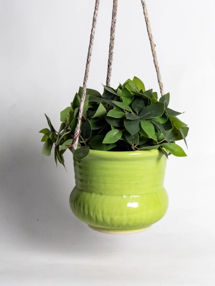 Classic Ceramic Planter — 8.5" Dia × 4" Height — Primary View