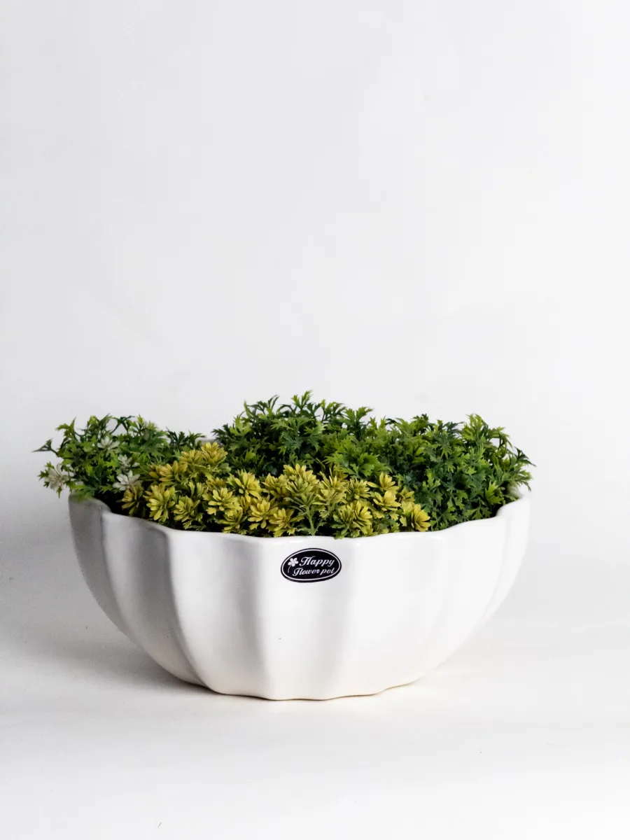 Classic Ceramic Planter — 6.5" Dia × 5.5" Height — Primary View