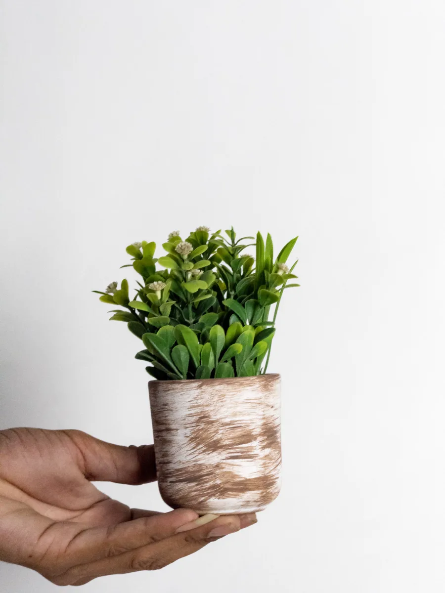 Classic Ceramic Planter — 4.5" Dia × 4.5" Height — Primary View