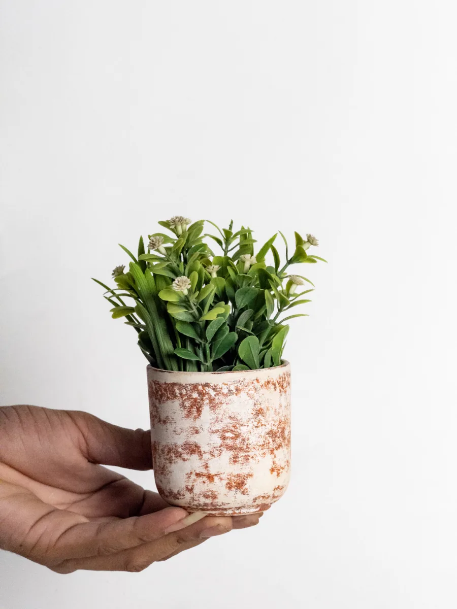 Classic Ceramic Planter — 4" Dia × 4" Height — Primary View