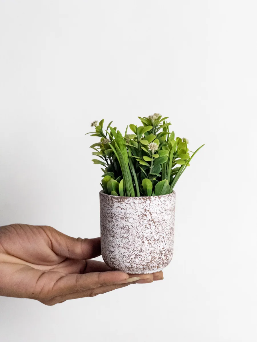 Classic Ceramic Planter — 10" Dia × 4" Height — Primary View