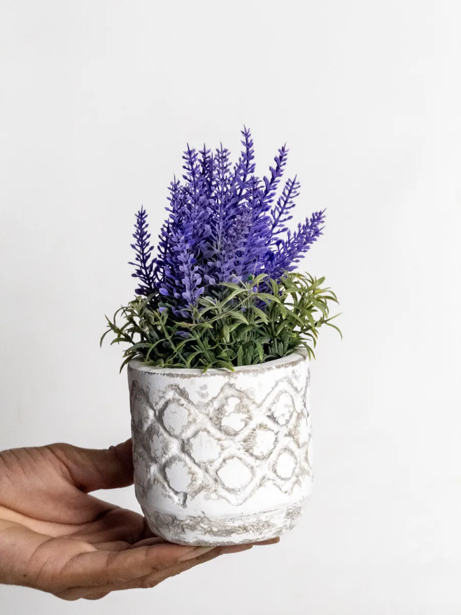 Classic Ceramic Planter — 6" Dia × 4.5" Height — Primary View