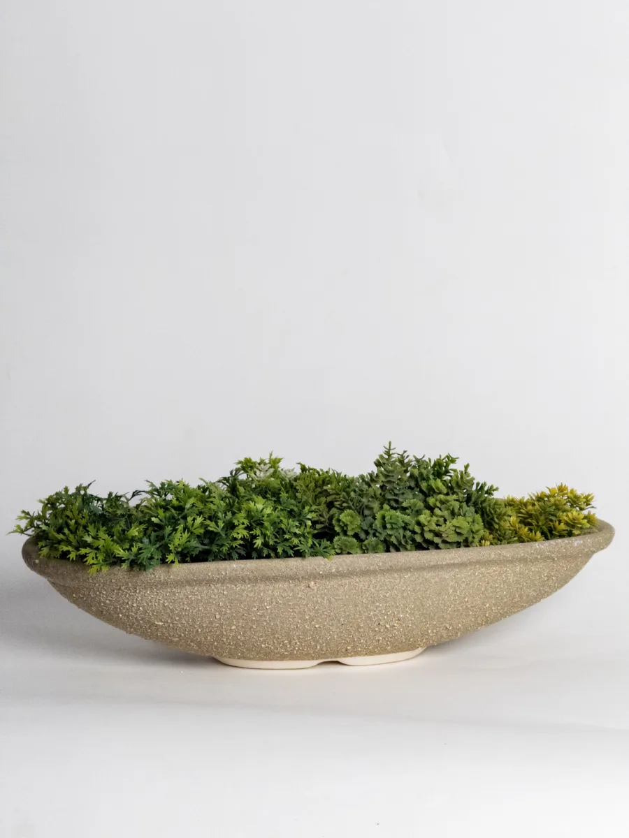 Classic Ceramic Planter — 15" Dia × 3" Height — Primary View