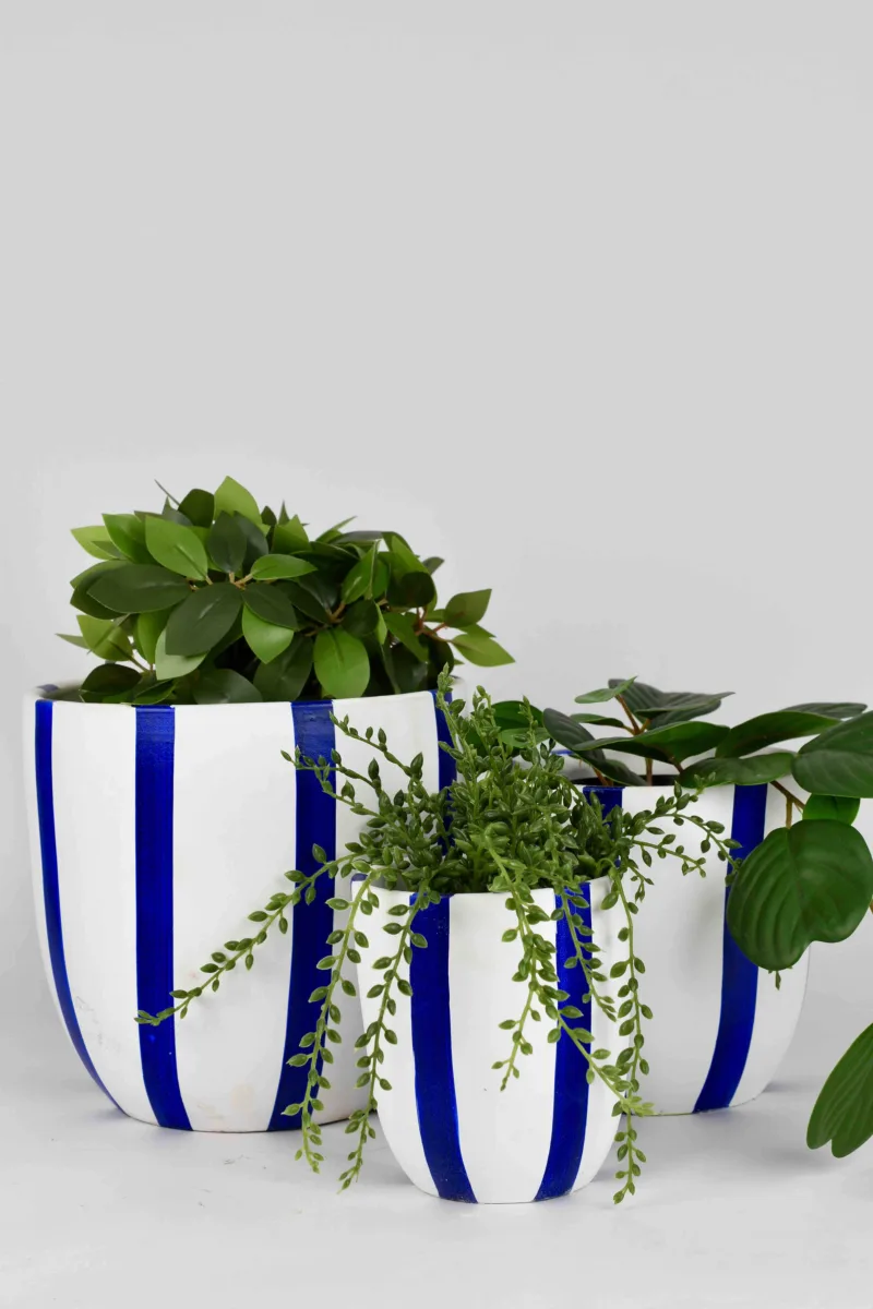 Classic Ceramic Planter — 6.6" Dia × 6" Height — Primary View