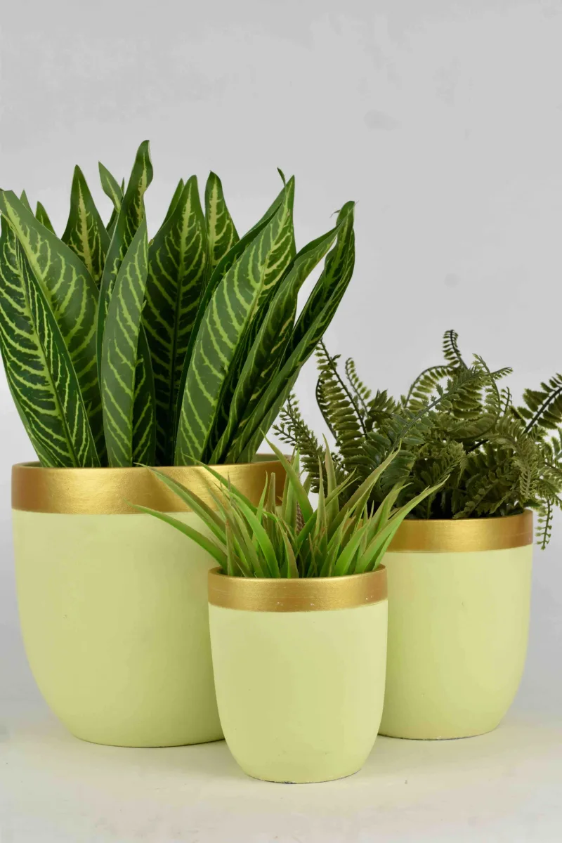 Classic Ceramic Planter — 16" Dia × 3.5" Height — Primary View