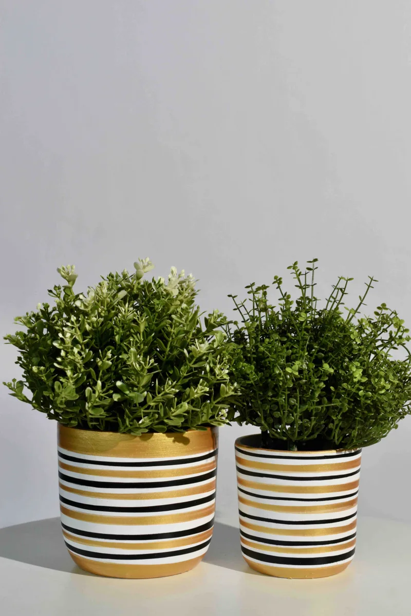 Classic Ceramic Planter Set of 3 (3" Dia) — Primary View