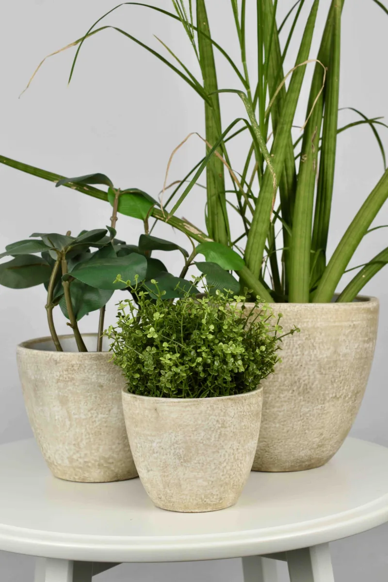 Classic Ceramic Planter Set of 2 (5.5" Dia × 10.5" Height) — Primary View