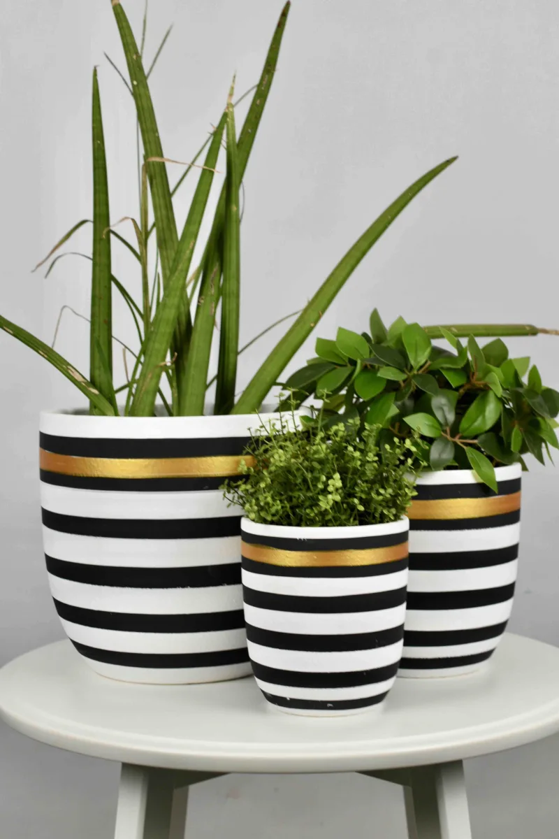 Classic Ceramic Planter Set of 2 (6.5" Dia × 5.5" Height) — Primary View