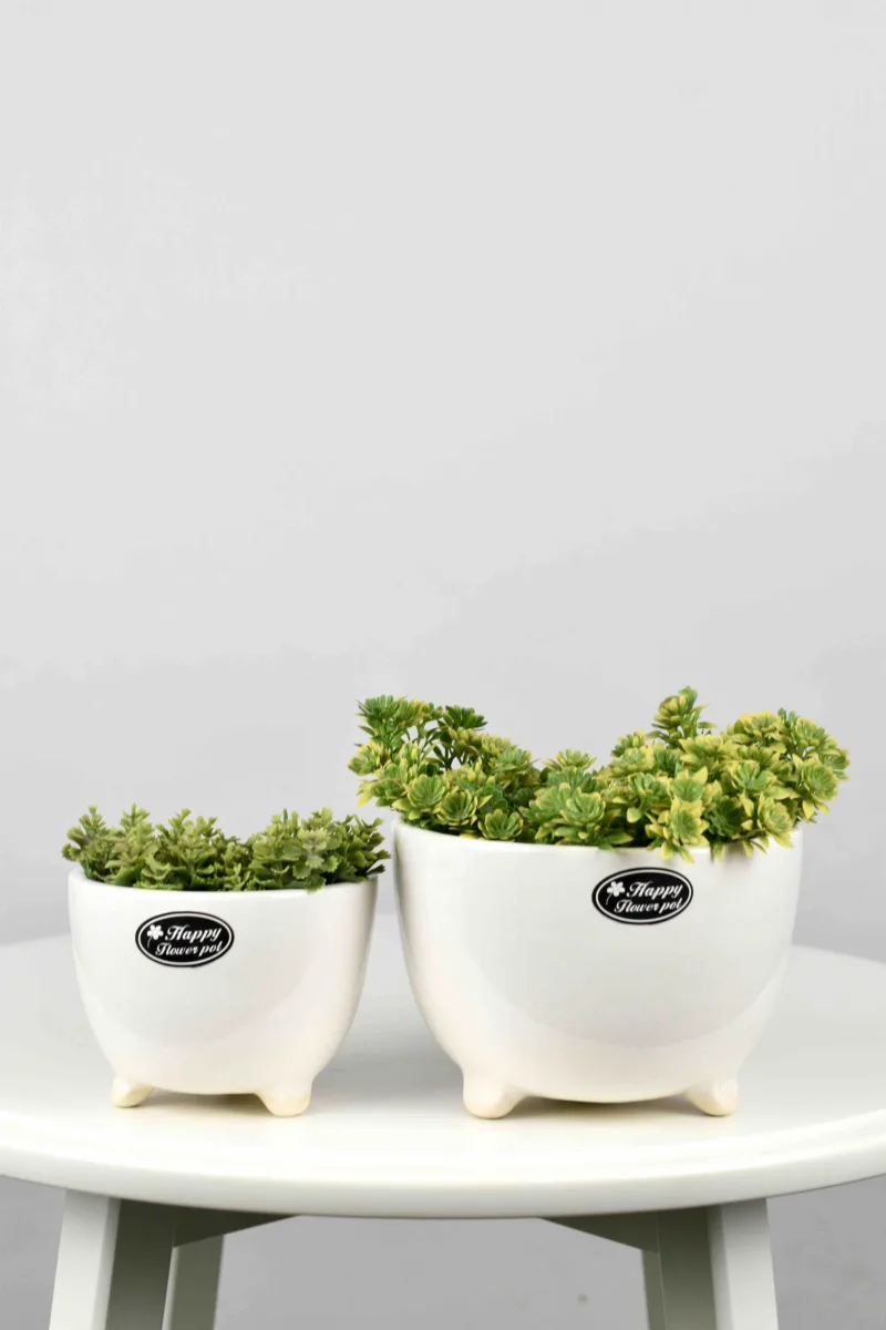 Classic Ceramic Planter Set of 2 (6.5" Dia × 5.5" Height) — Primary View