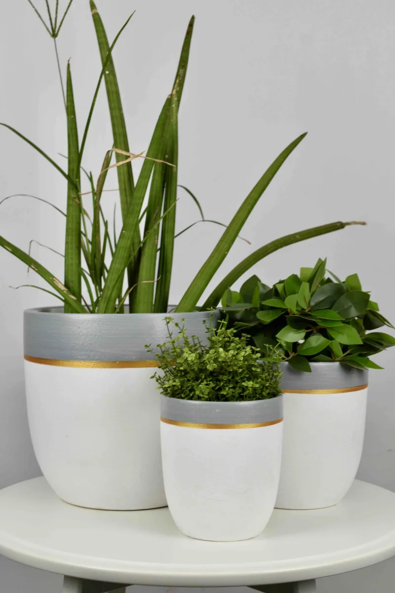 Classic Ceramic Planter Set of 2 (2" Dia) — Primary View