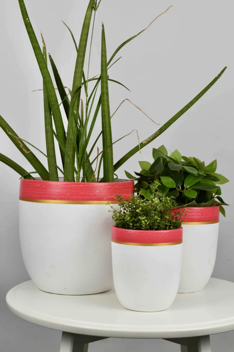 Classic Ceramic Planter Set of 3 (3" Dia) — Primary View