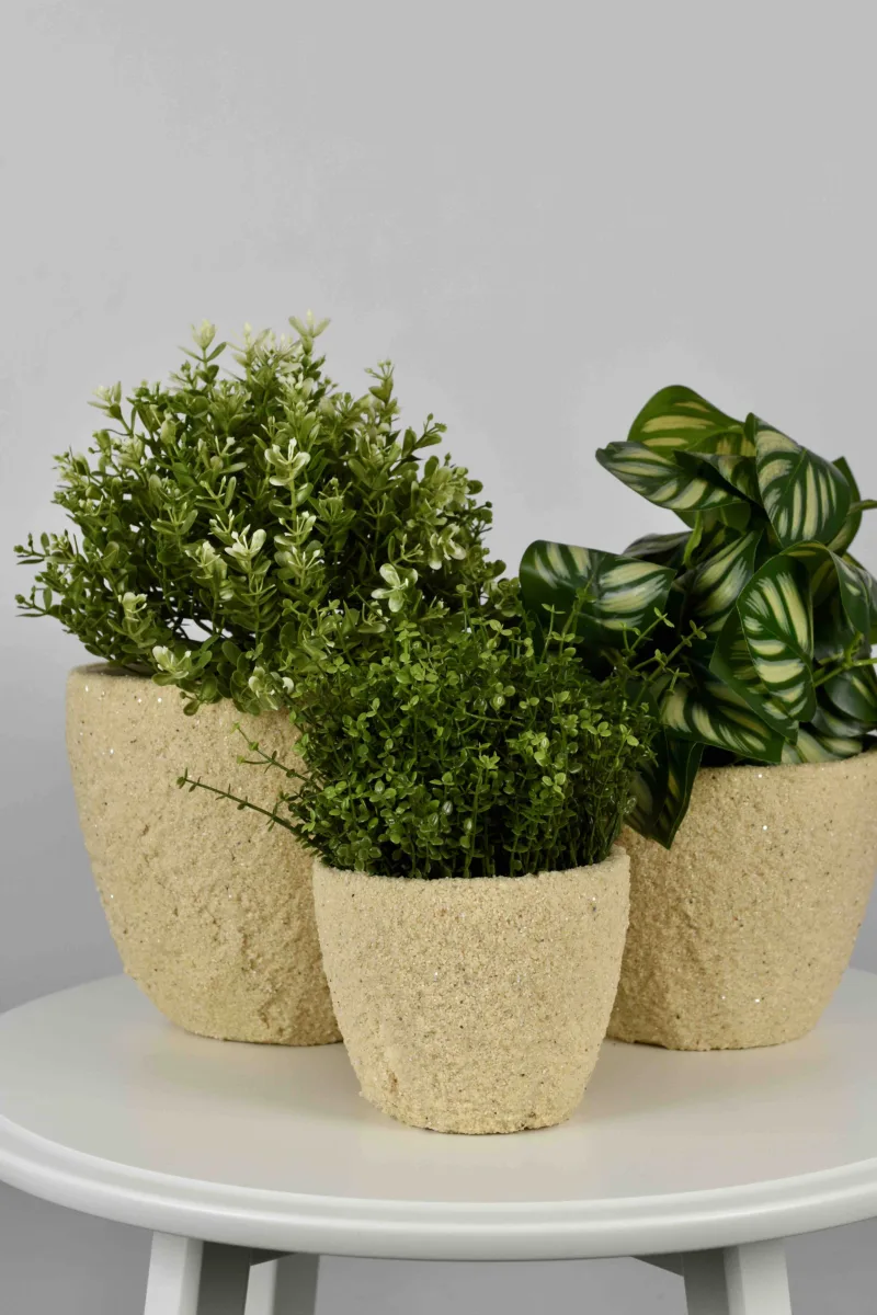 Classic Ceramic Planter Set of 3 (3" Dia) — Primary View