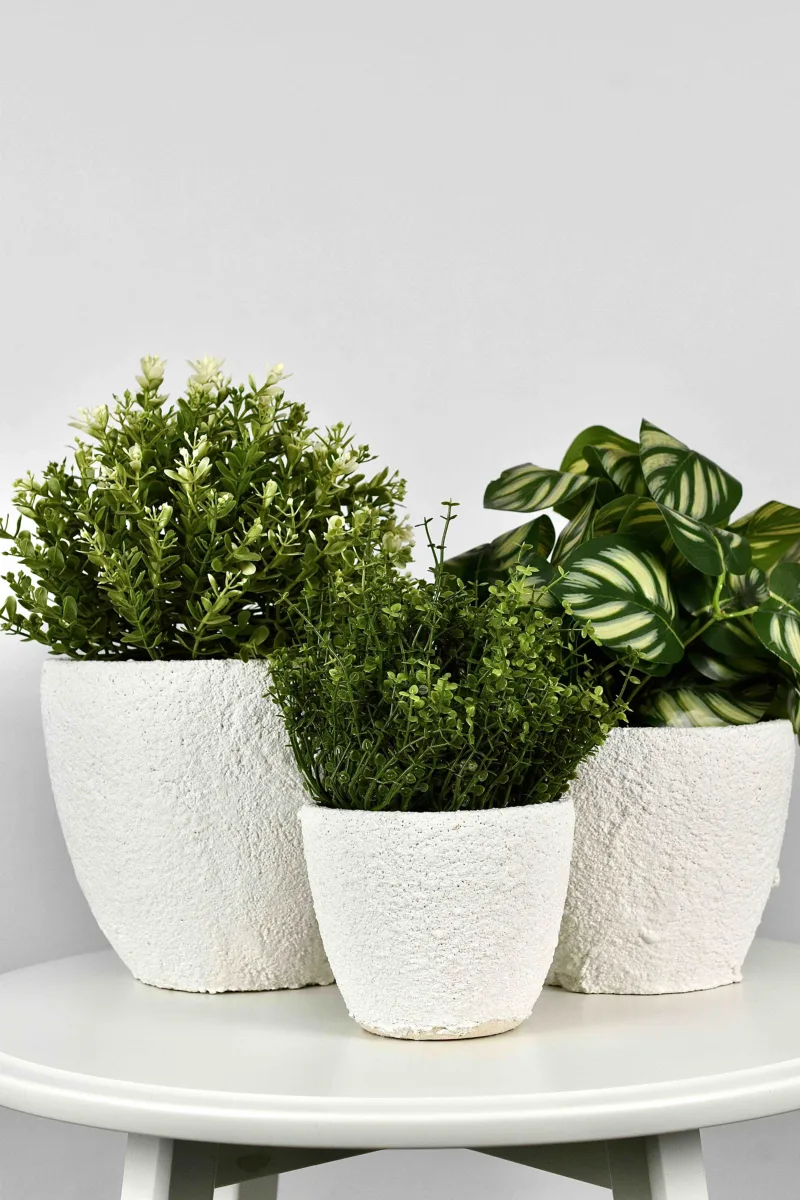 Classic Ceramic Planter Set of 3 (3" Dia) — Primary View