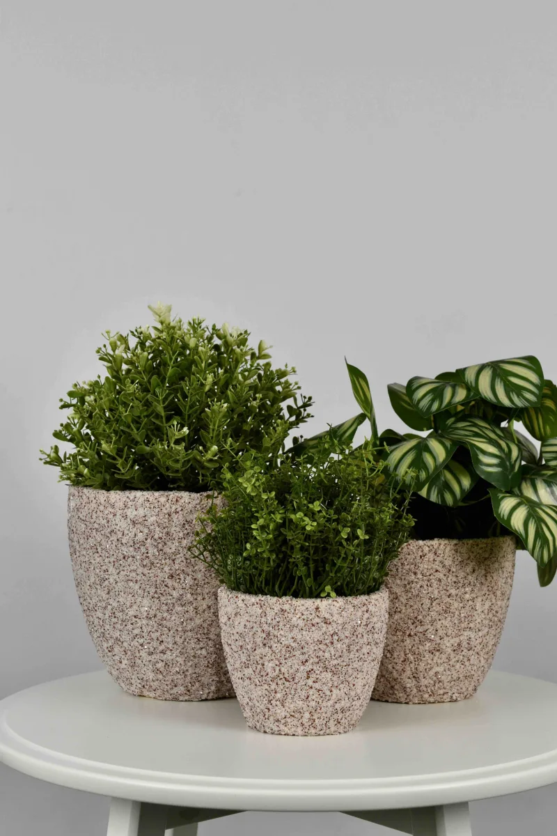 Classic Ceramic Planter Set of 3 (3" Dia) — Primary View