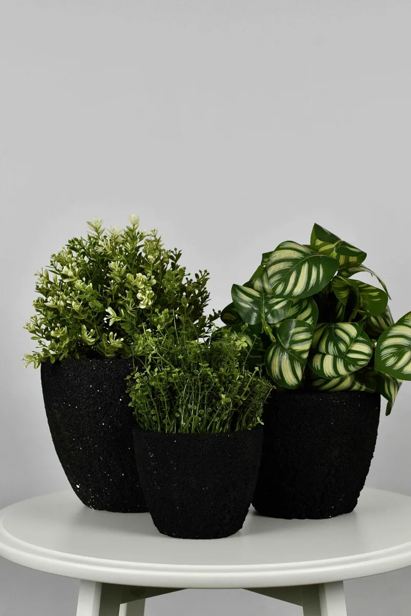 Classic Ceramic Planter Set of 3 (3" Dia) — Primary View