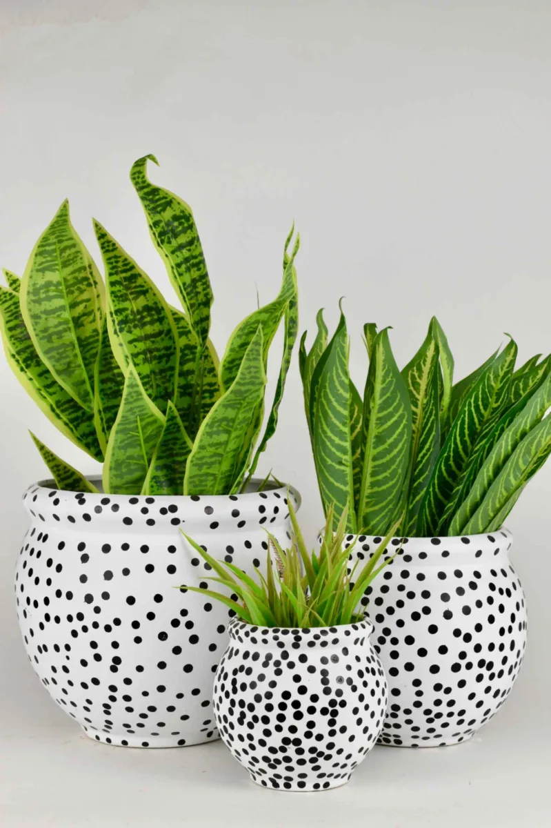Classic Ceramic Planter Set of 2 (2" Dia) — Primary View