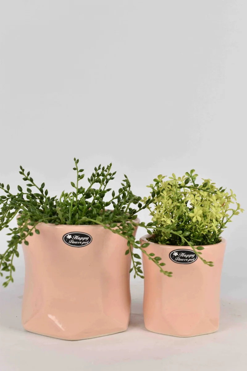 Classic Ceramic Planter Set of 2 (2" Dia) — Primary View