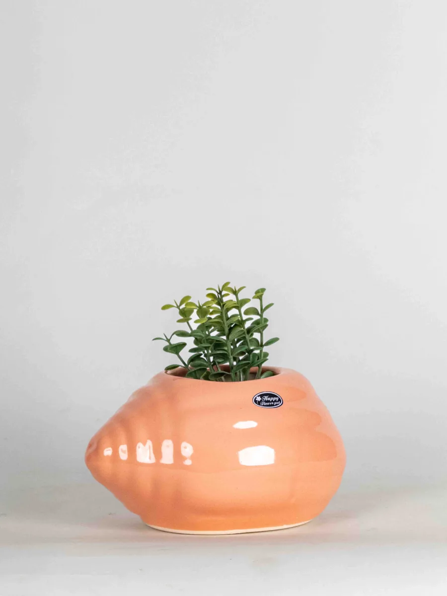 Classic Ceramic Planter Set of 3 (3" Dia) — Primary View