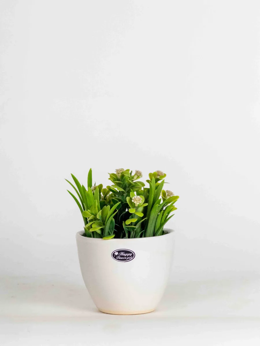 Classic Ceramic Planter Set of 3 (3" Dia) — Primary View