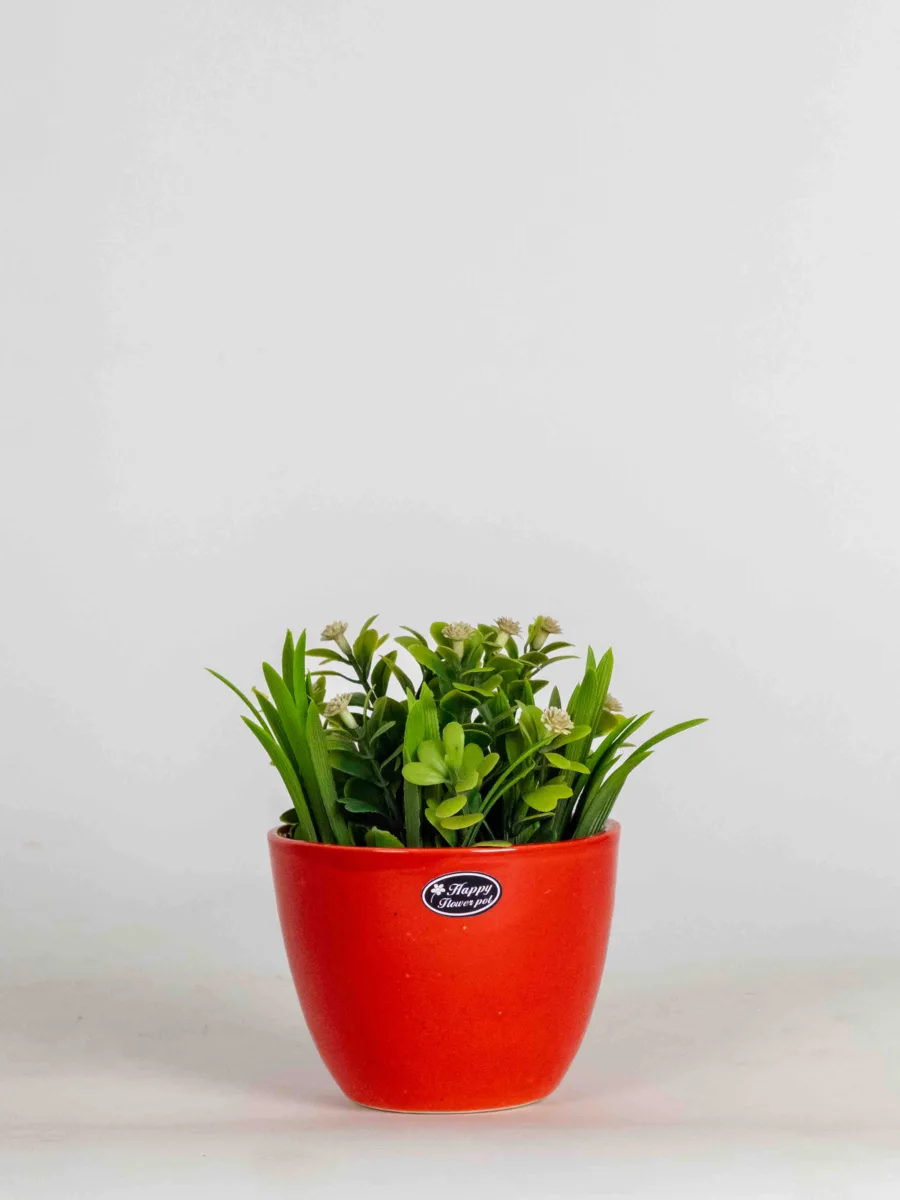 Classic Ceramic Planter Set of 3 (3" Dia) — Primary View