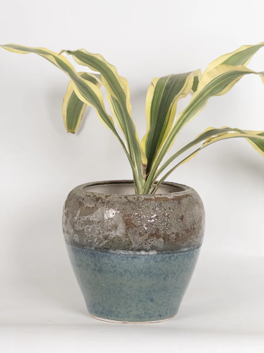 Classic Ceramic Planter Set of 3 (3" Dia) — Primary View