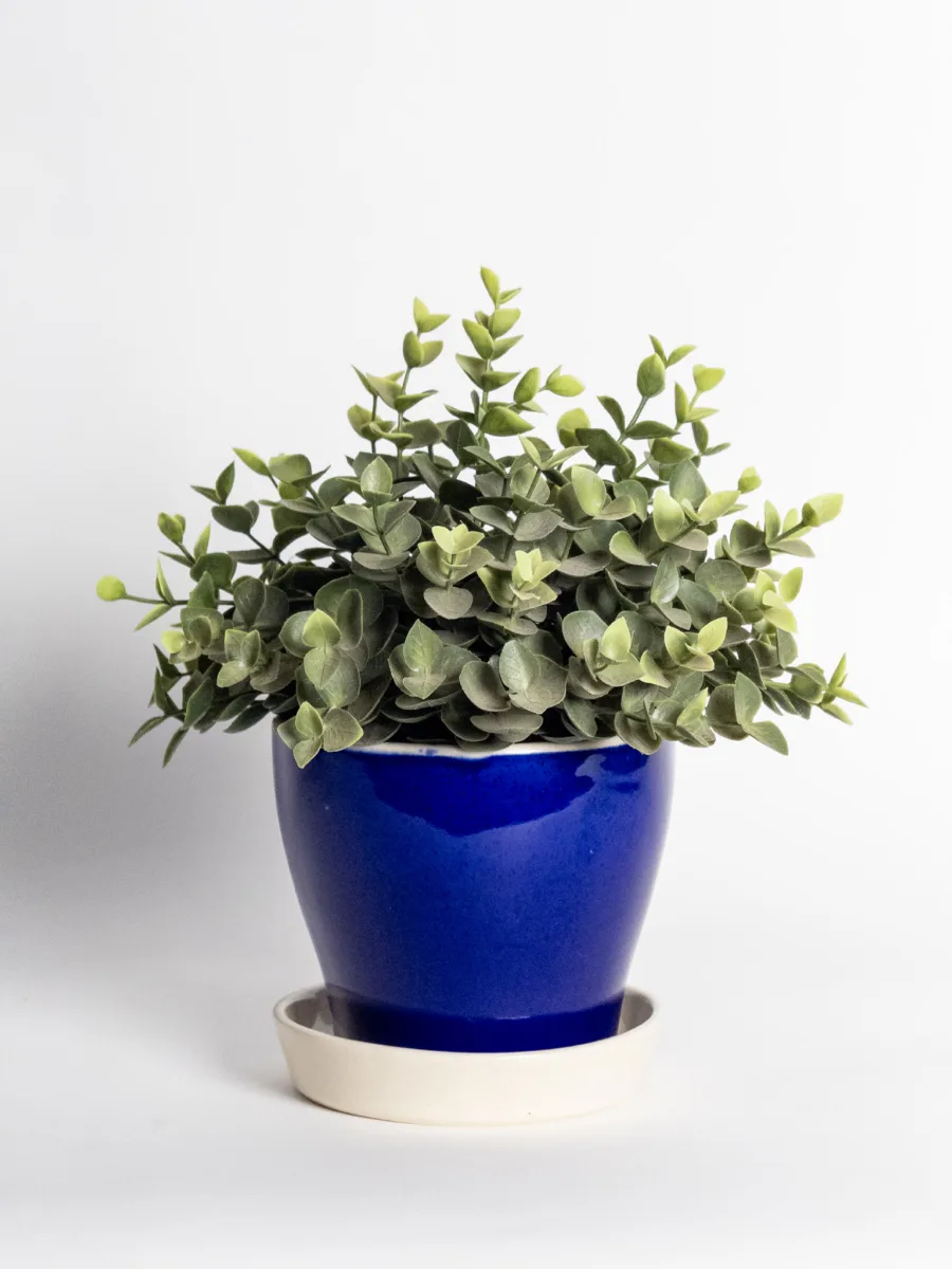 Classic Ceramic Planter — 10.5" Dia × 8" Height — Primary View
