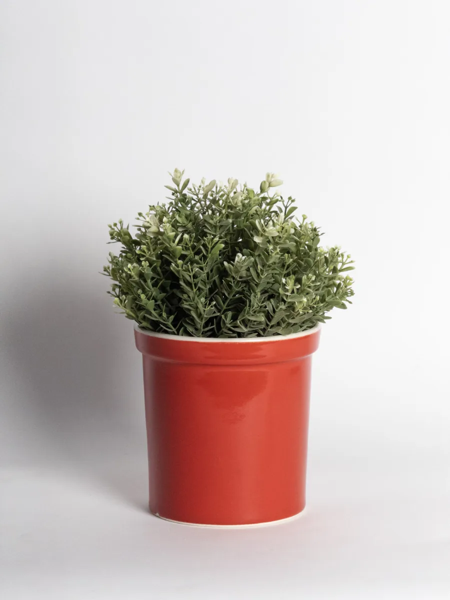 Classic Ceramic Planter — 12" Dia × 8.5" Height — Primary View