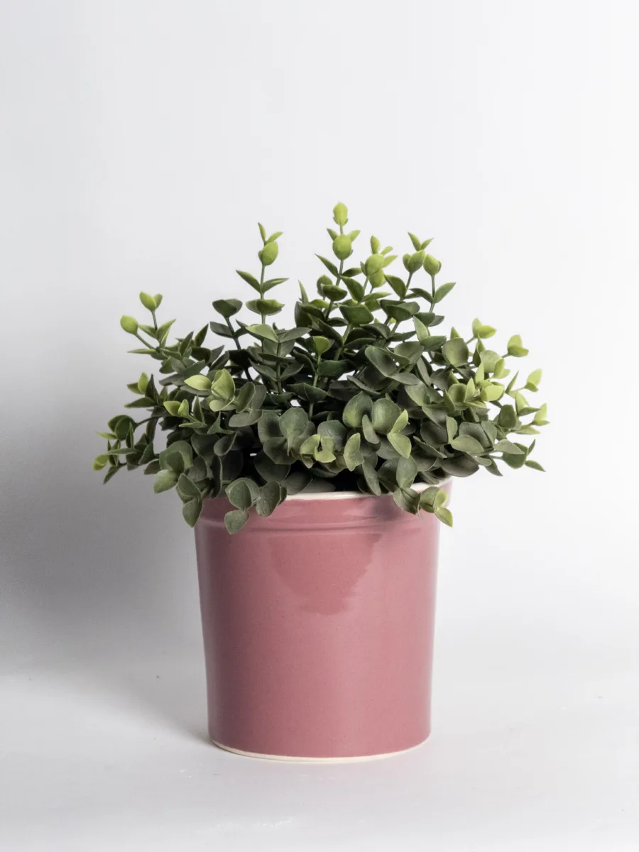 Classic Ceramic Planter — 7.5" Dia × 13.5" Height — Primary View