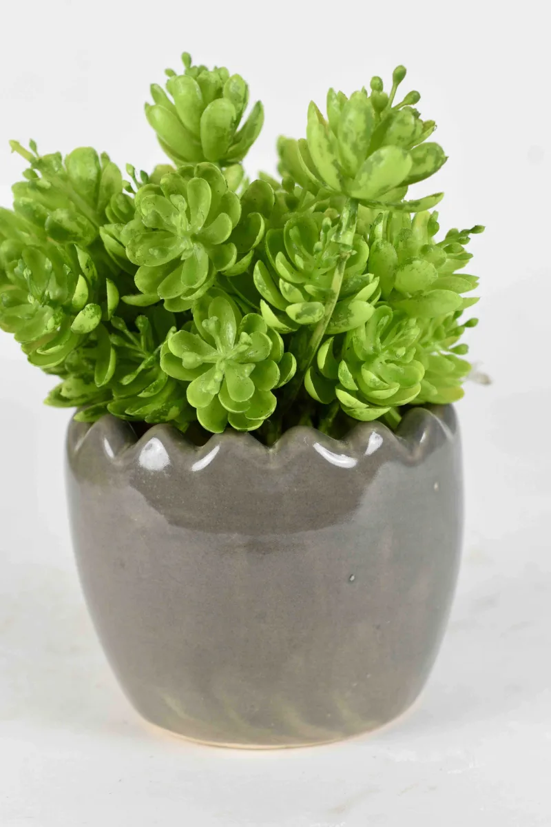 Classic Ceramic Planter Set of 3 (3" Dia) — Primary View