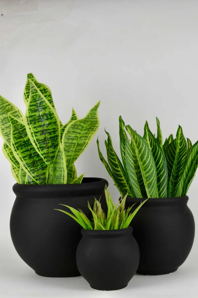 Classic Ceramic Planter Set of 2 (6" Dia × 5" Height) — Primary View