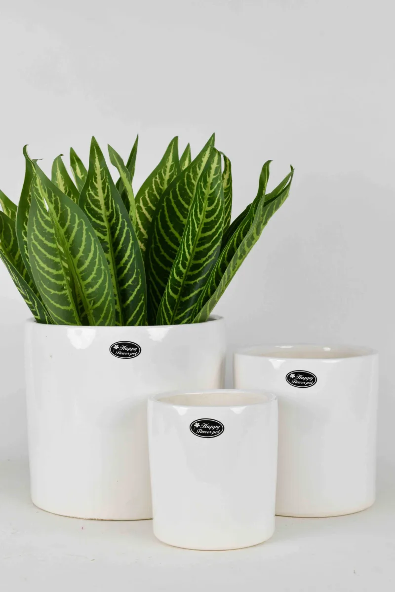 Classic Ceramic Planter Set of 2 (5.5" Dia × 10.5" Height) — Primary View