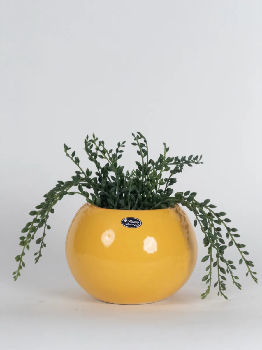 Classic Ceramic Planter Set of 3 (3" Dia) — Primary View