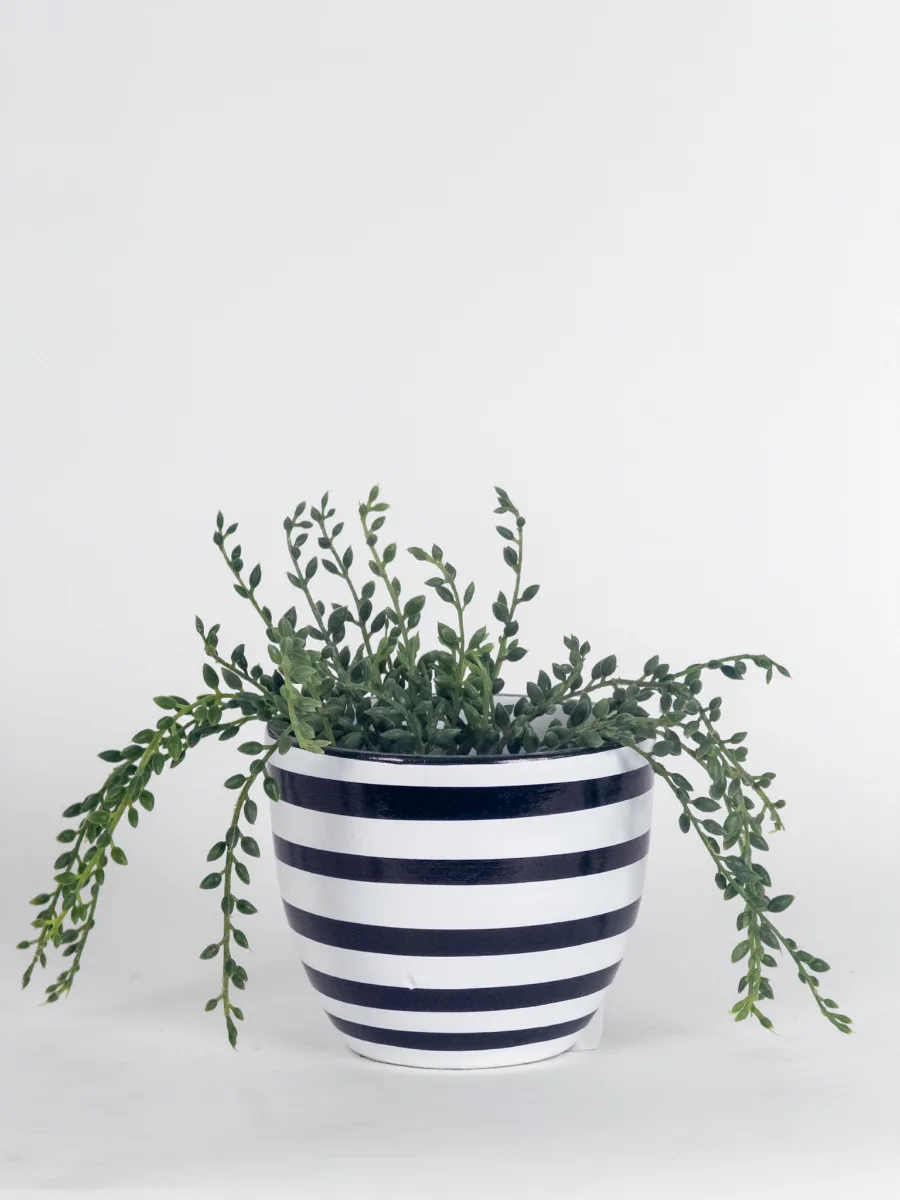 Classic Ceramic Planter Set of 3 (3" Dia) — Primary View