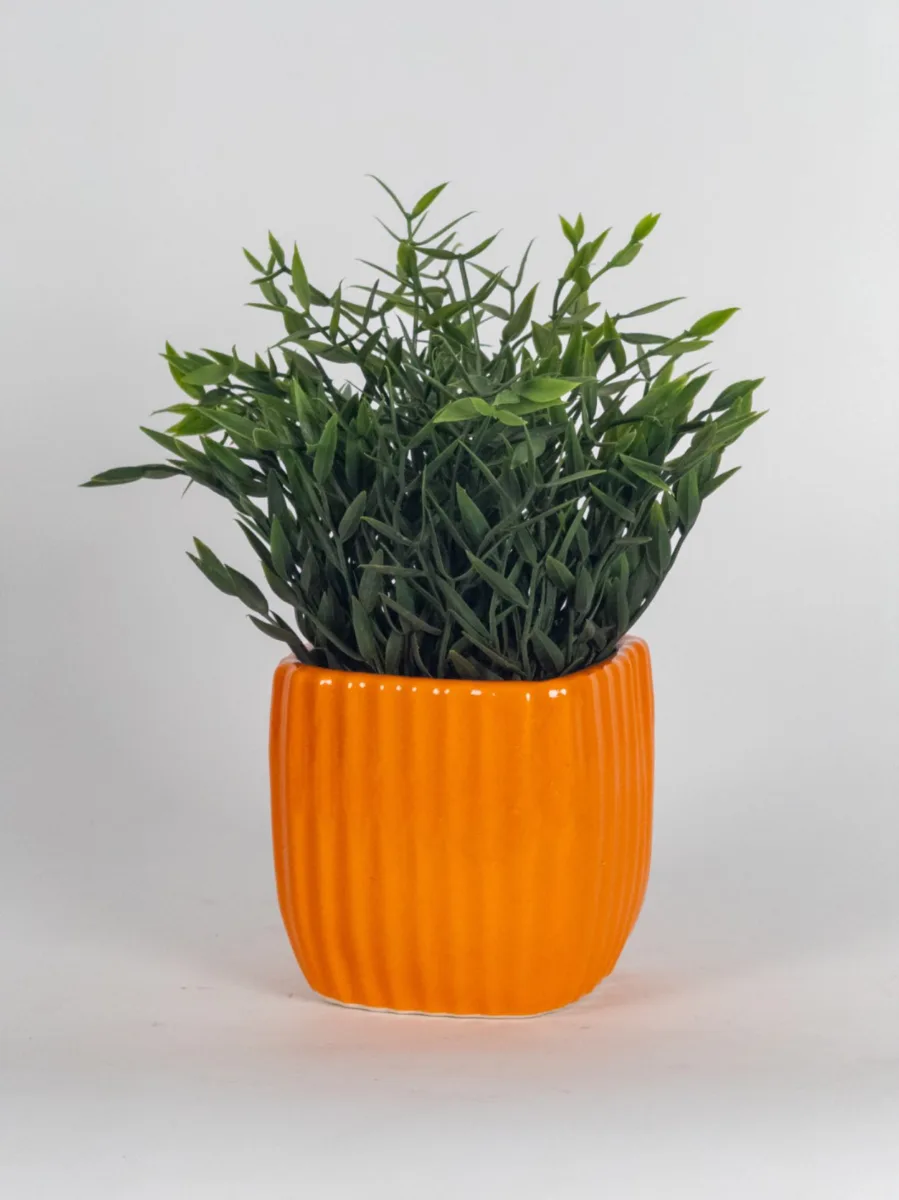 Classic Ceramic Planter Set of 2 (2" Dia) — Primary View