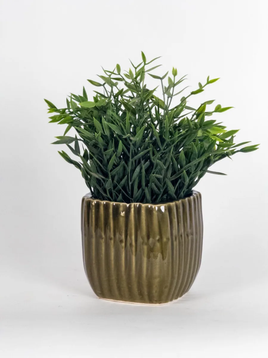 Classic Ceramic Planter — 5" Dia × 5" Height — Primary View