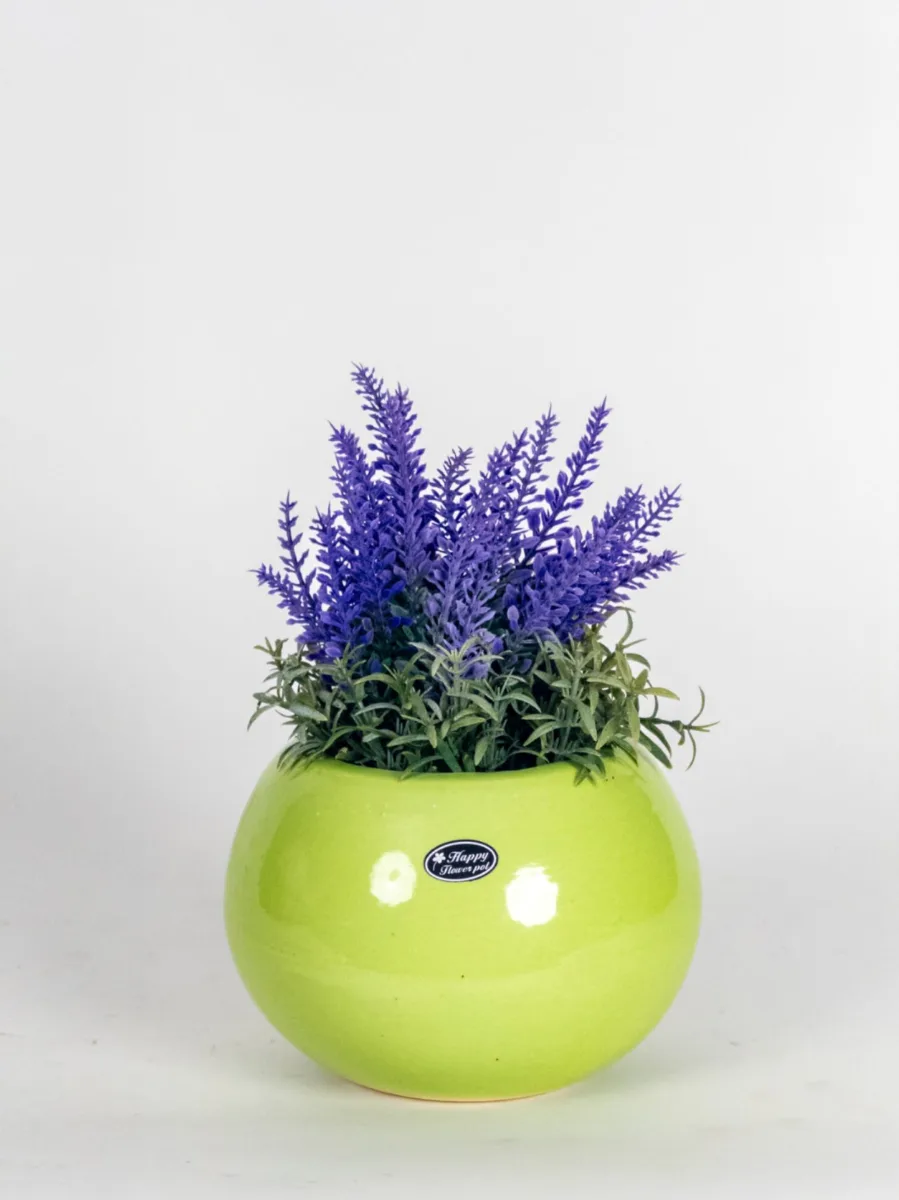 Classic Ceramic Planter — 4.5" Dia × 4.5" Height — Primary View