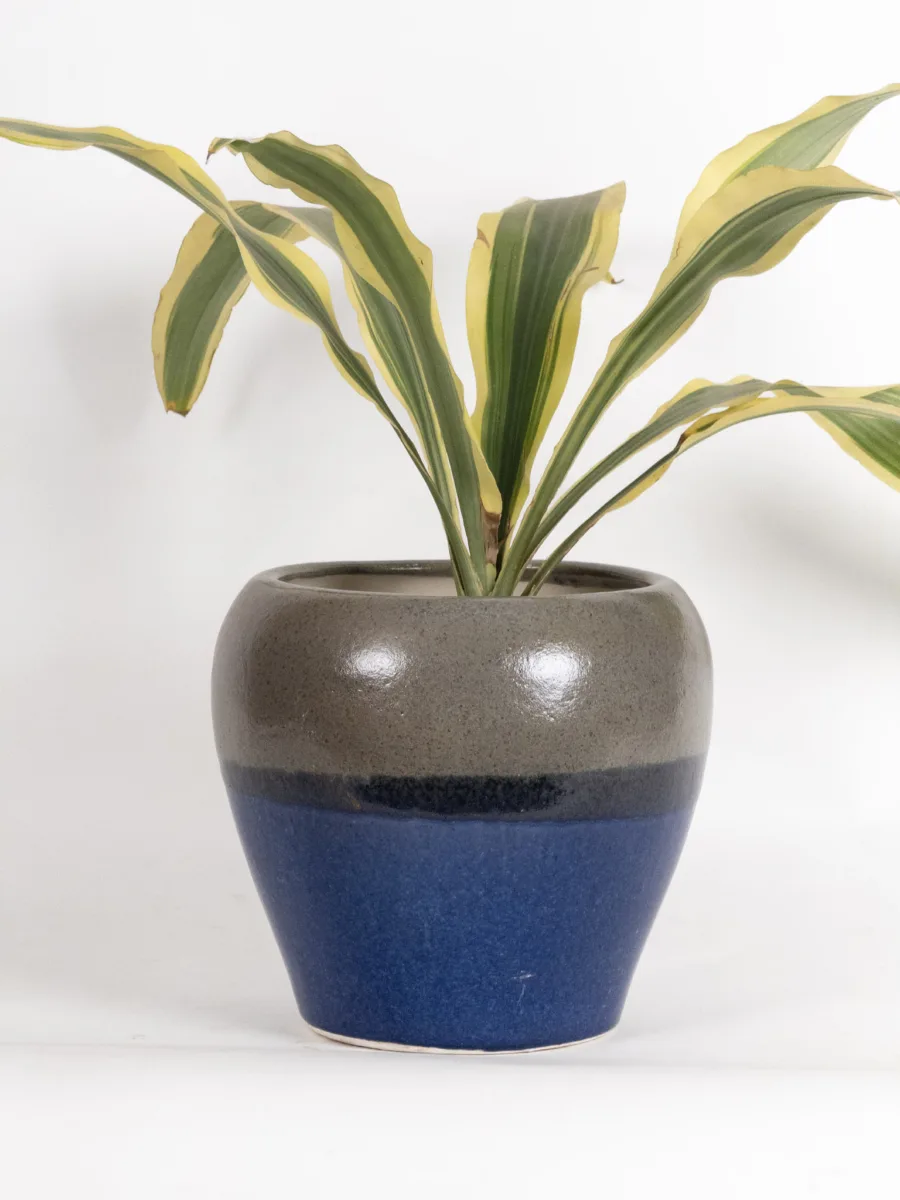 Classic Ceramic Planter — 4.5" Dia × 4.5" Height — Primary View