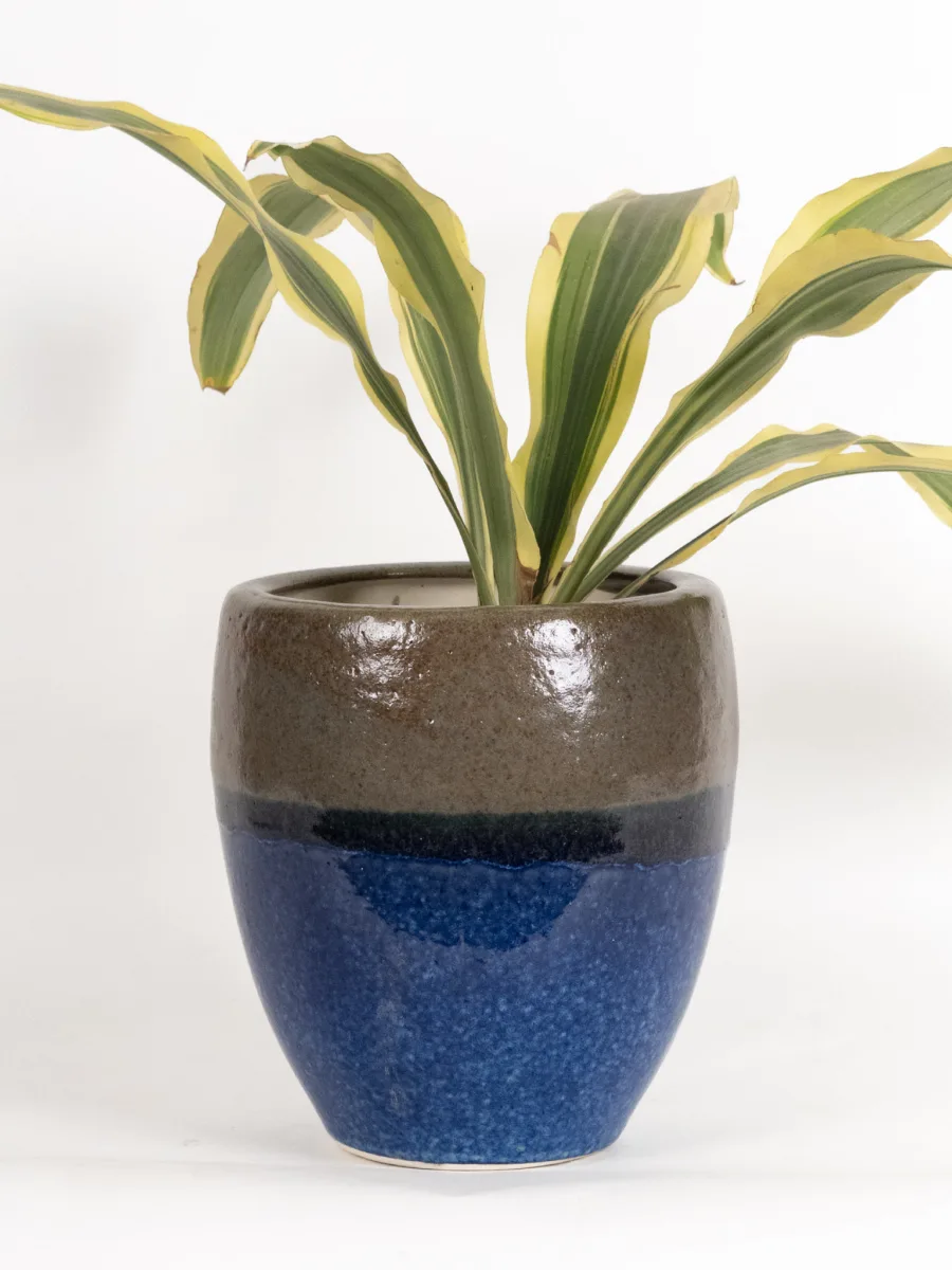 Classic Ceramic Planter — 7" Dia × 6.5" Height — Primary View