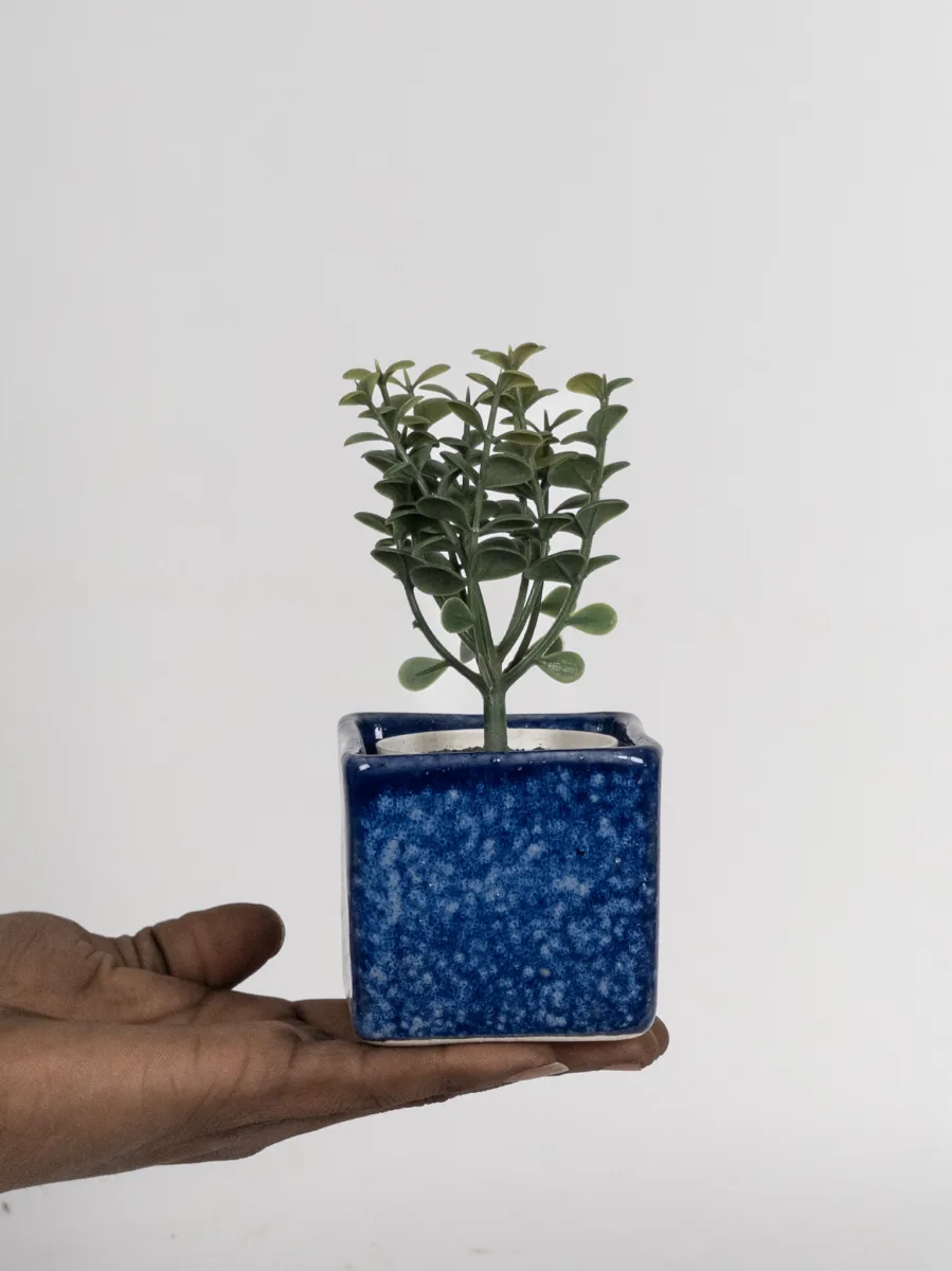 Classic Ceramic Planter — 4" Dia × 3.5" Height — Primary View