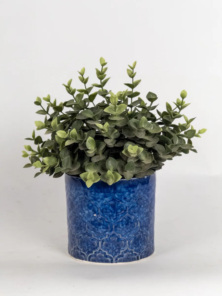 Classic Ceramic Planter — 5.5" Dia × 4" Height — Primary View