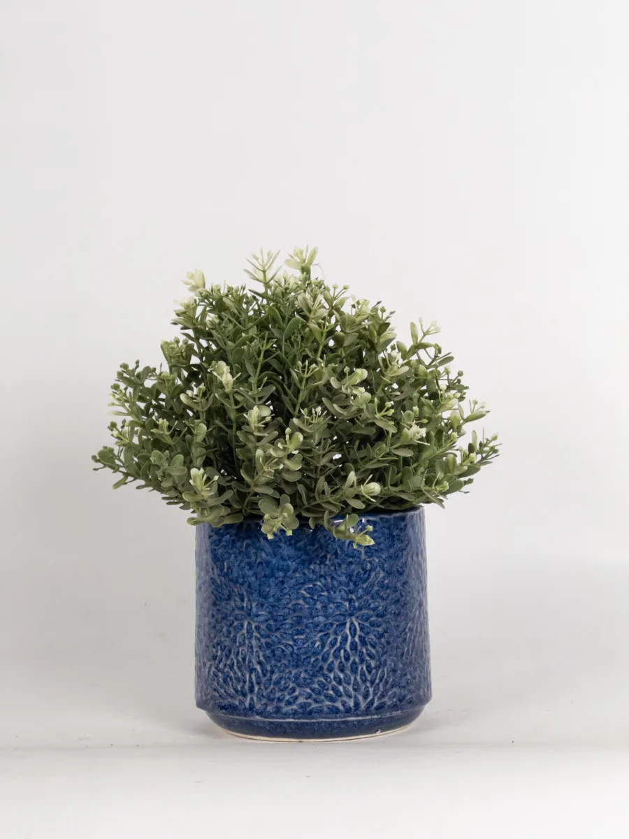 Classic Ceramic Planter — 5" Dia × 4" Height — Primary View