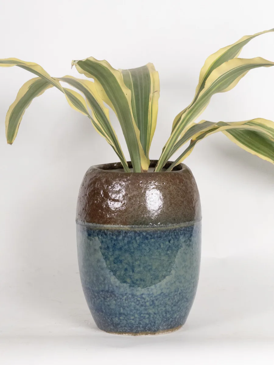 Classic Ceramic Planter — 5" Dia × 5" Height — Primary View