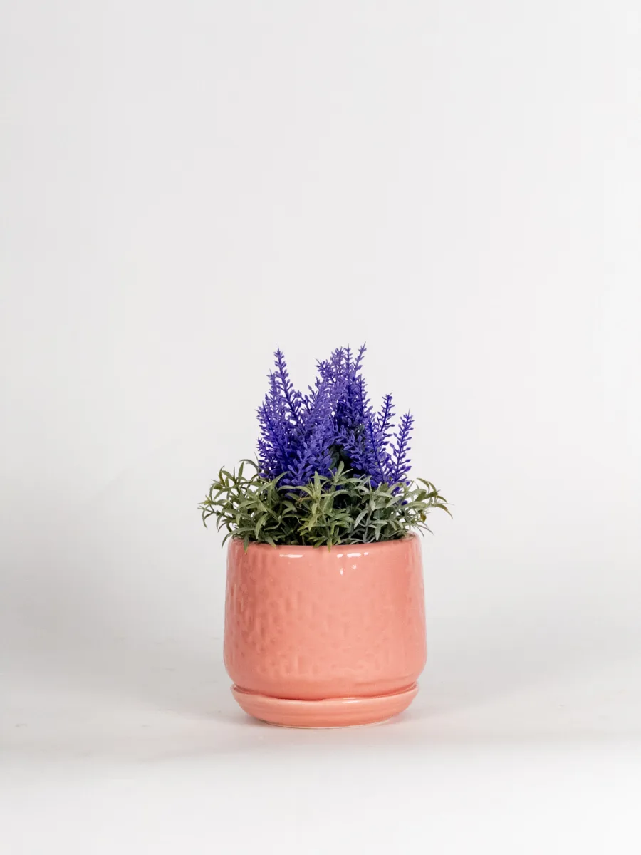 Classic Ceramic Planter — 5" Dia × 4" Height — Primary View