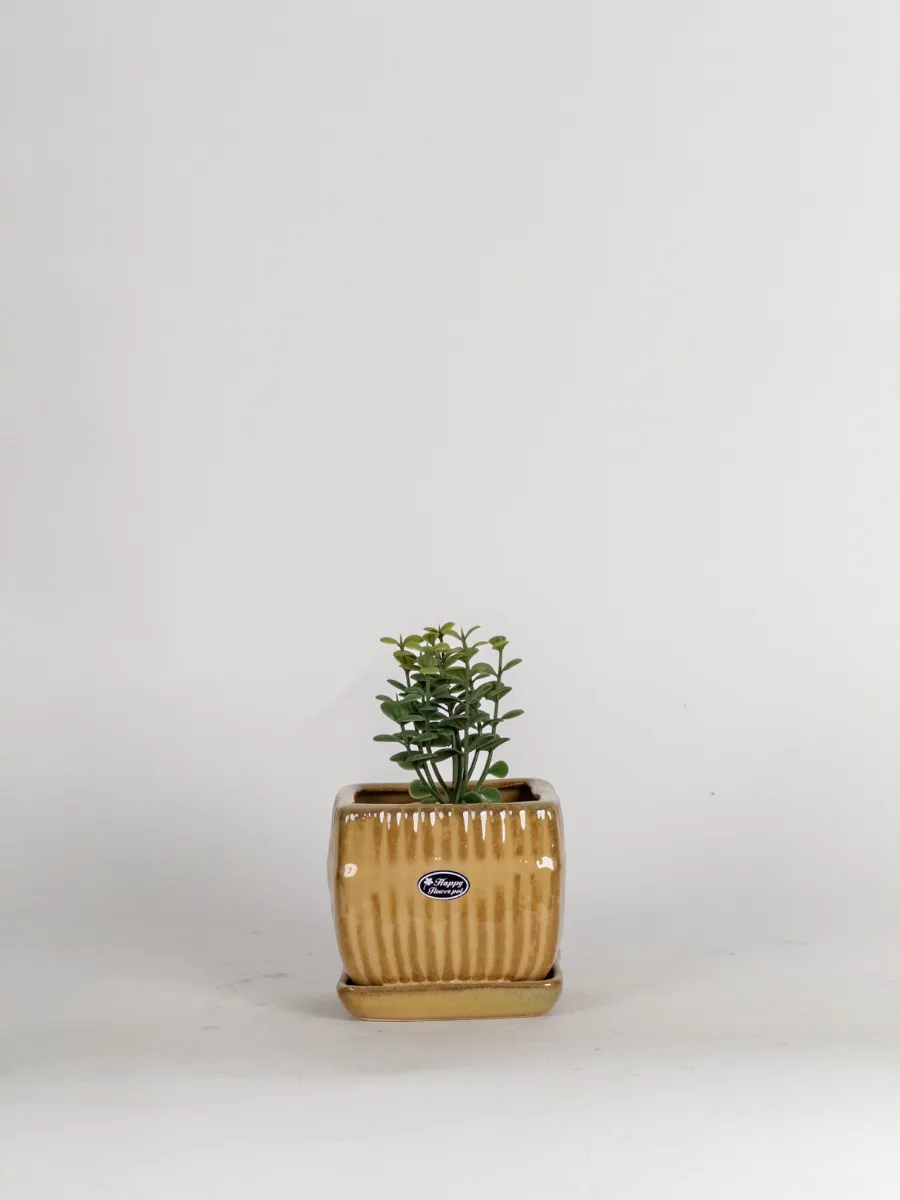 Classic Ceramic Planter — 5" Dia × 4.5" Height — Primary View