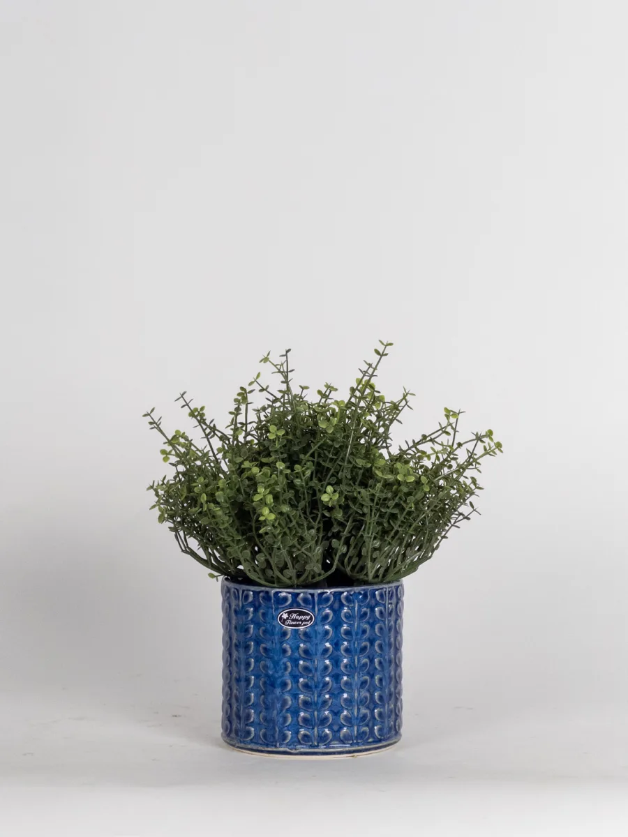 Classic Ceramic Planter — 6" Dia × 9.5" Height — Primary View